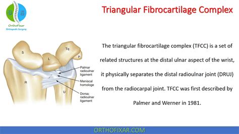 triangular fibrocartilage complex tfcc tear test|triangular fibrocartilage tear surgery.